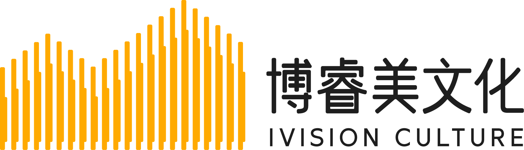 IVISION CULTURE